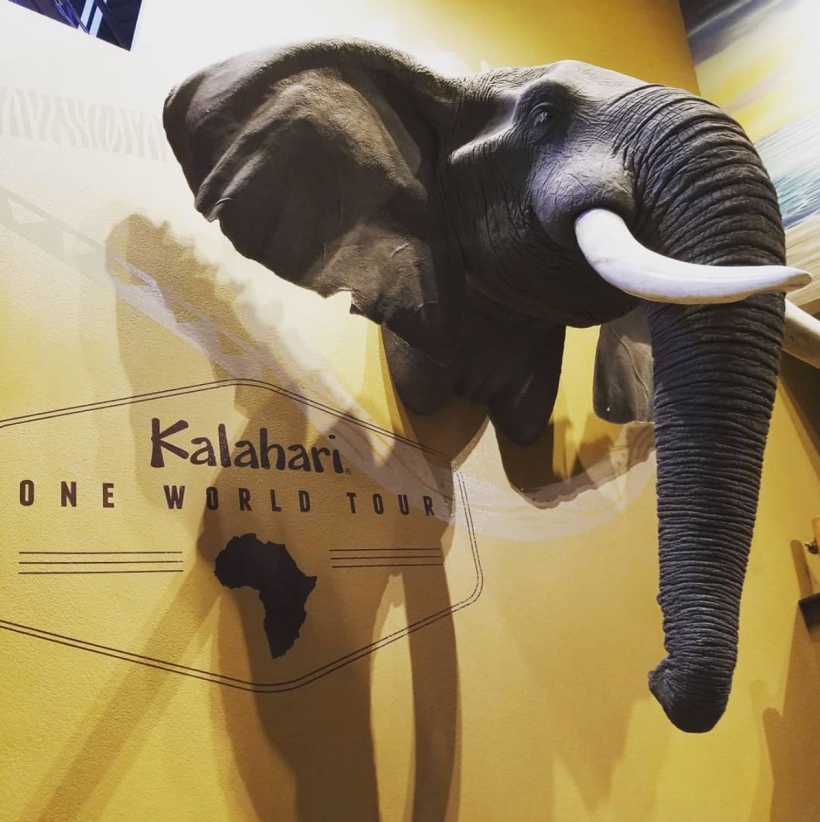 Kalihari Elephant